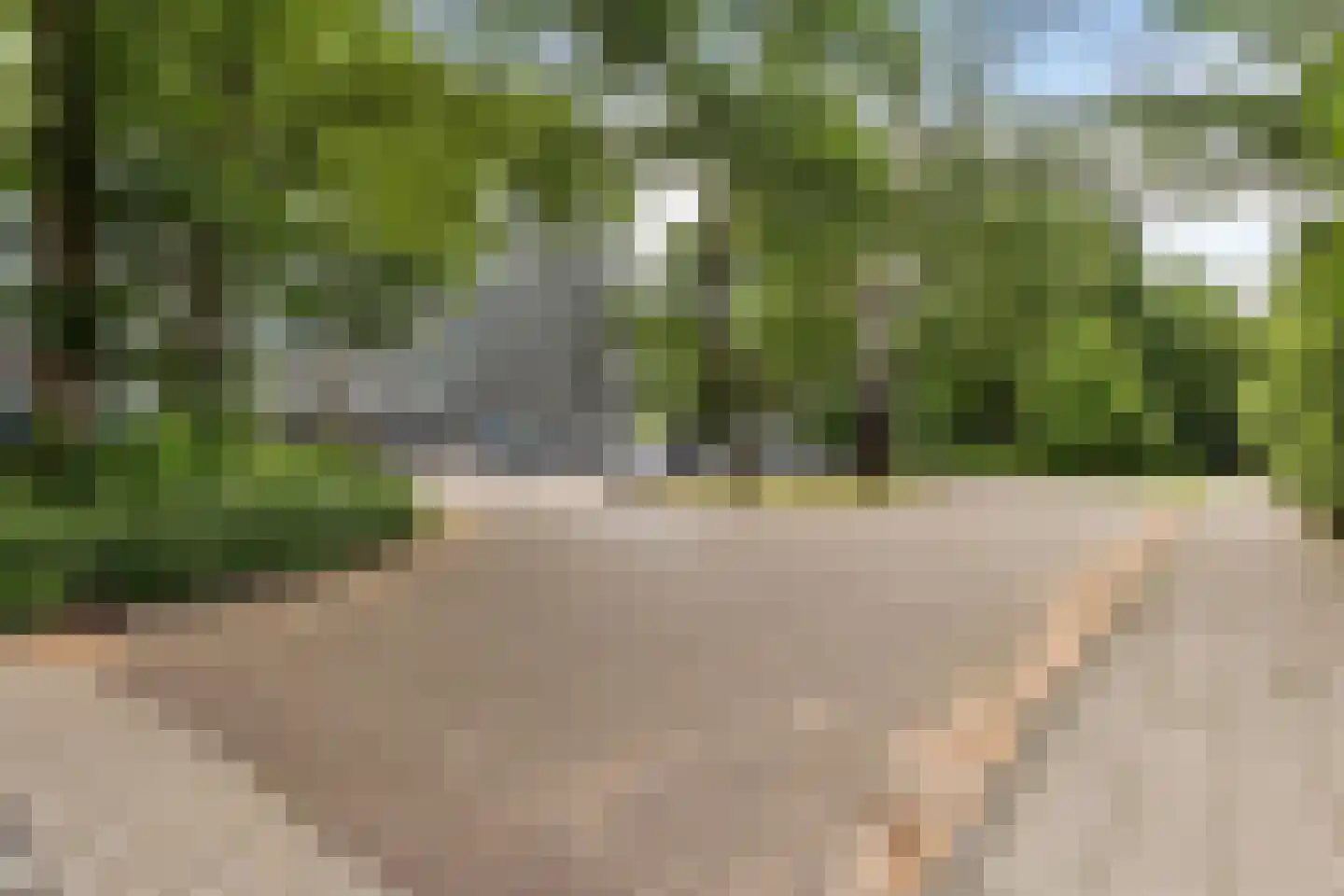 Buizerd 34 Heerenveen thumbnail 40