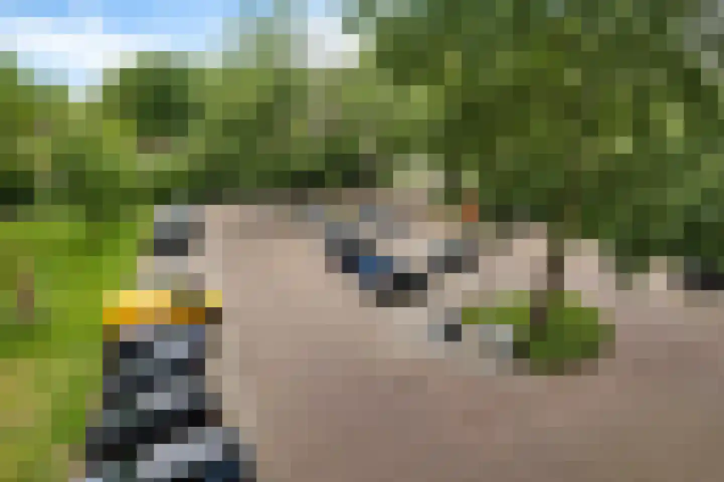 Buizerd 34 Heerenveen thumbnail 41