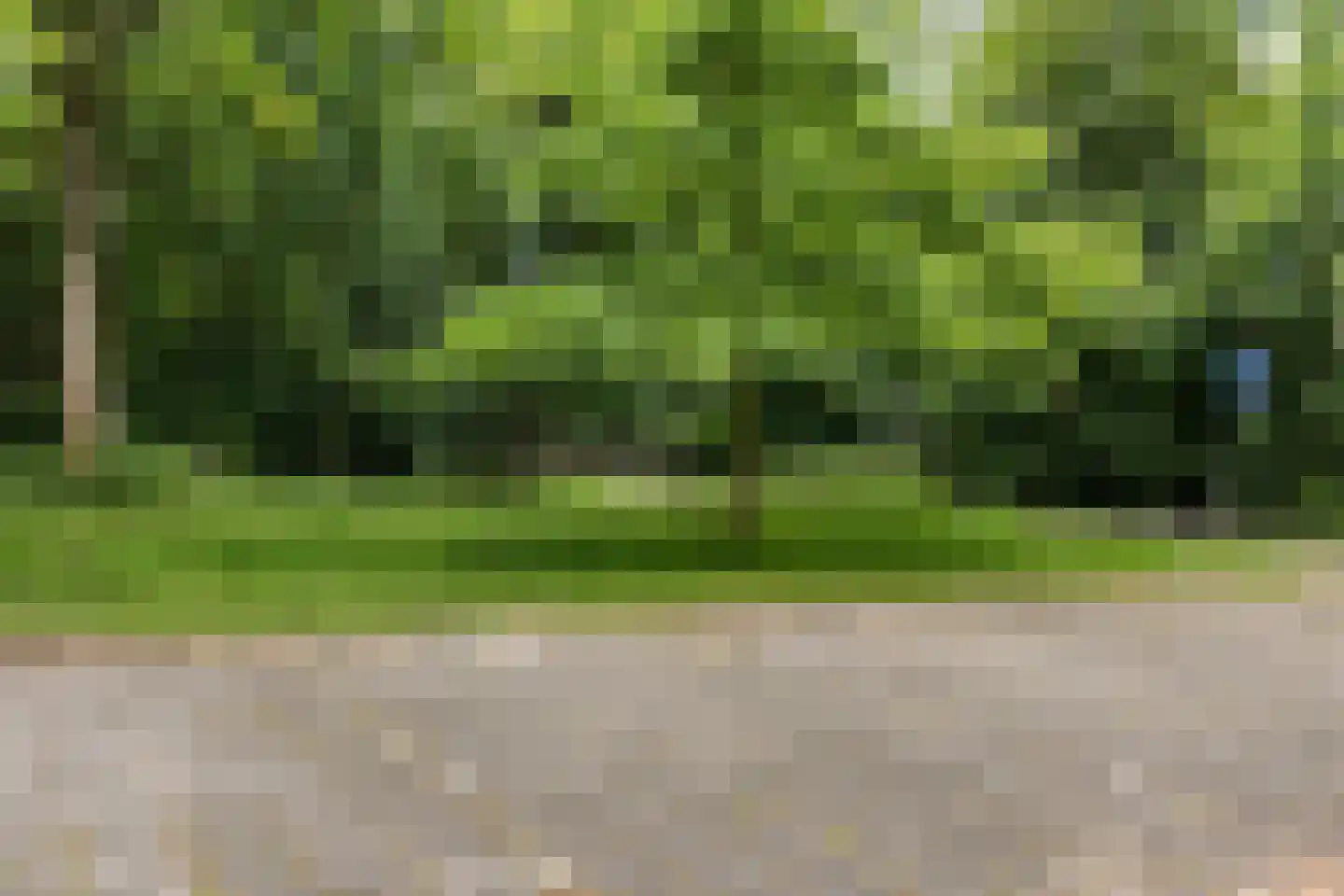 Buizerd 34 Heerenveen thumbnail 42