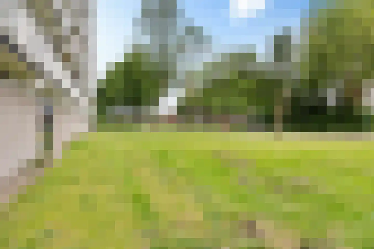 Buizerd 34 Heerenveen thumbnail 43