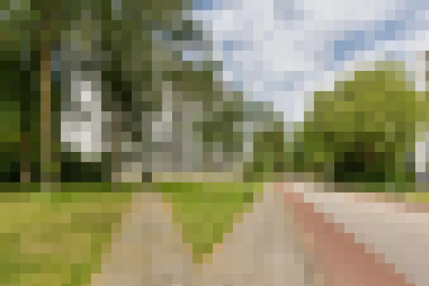 Buizerd 34 Heerenveen thumbnail 44