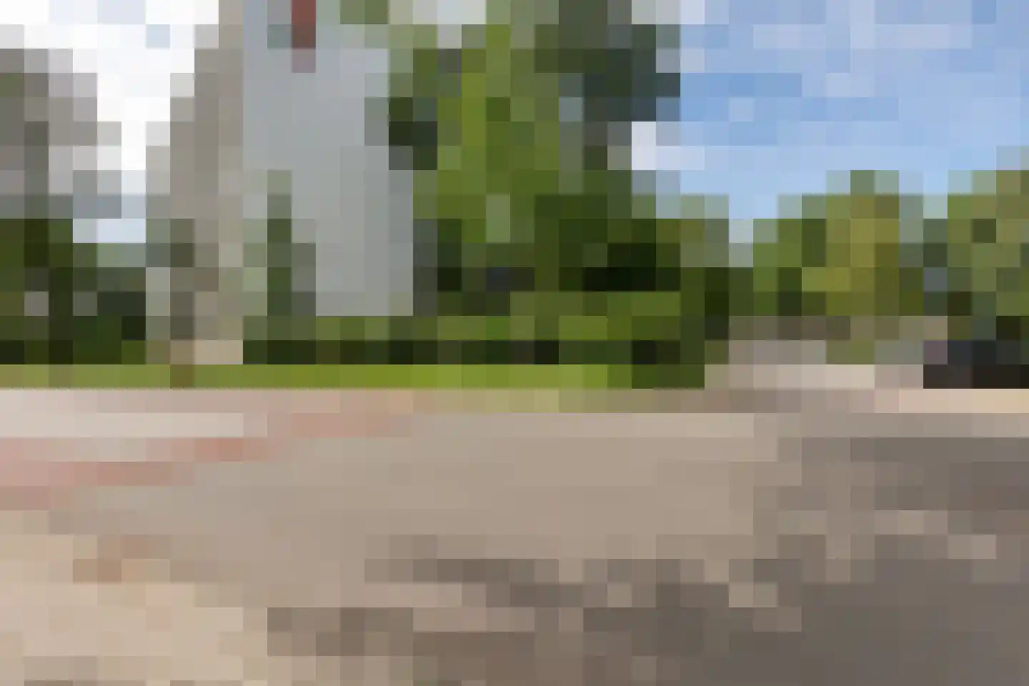Buizerd 34 Heerenveen thumbnail 47