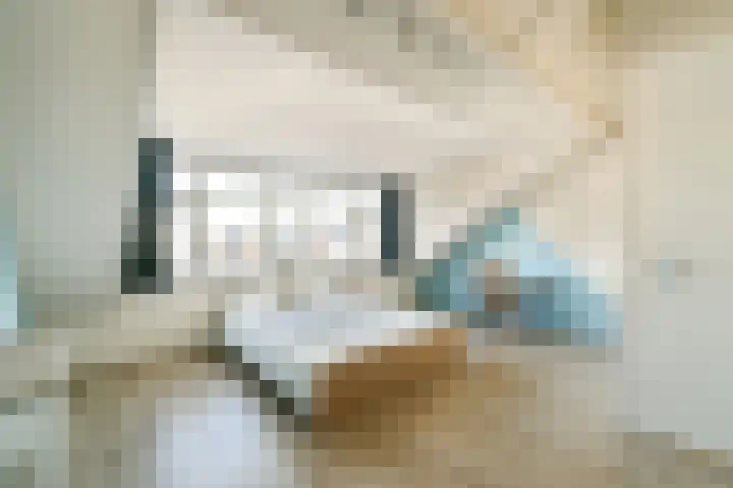 Buizerd 34 Uithoorn thumbnail 21