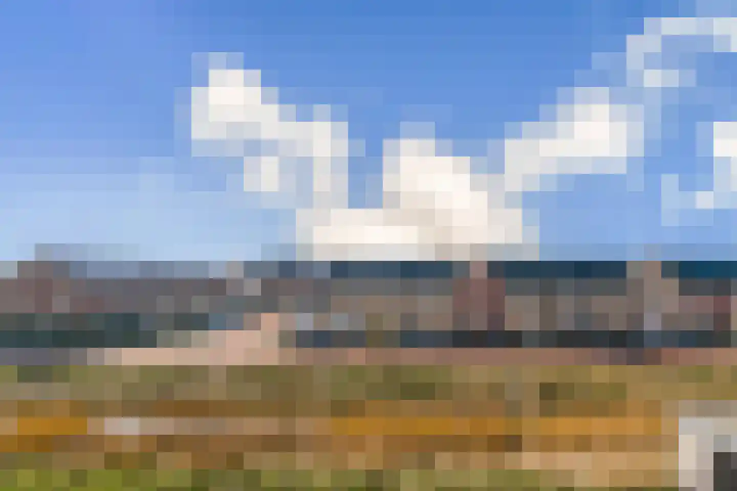 Buizerd 34 Uithoorn thumbnail 25