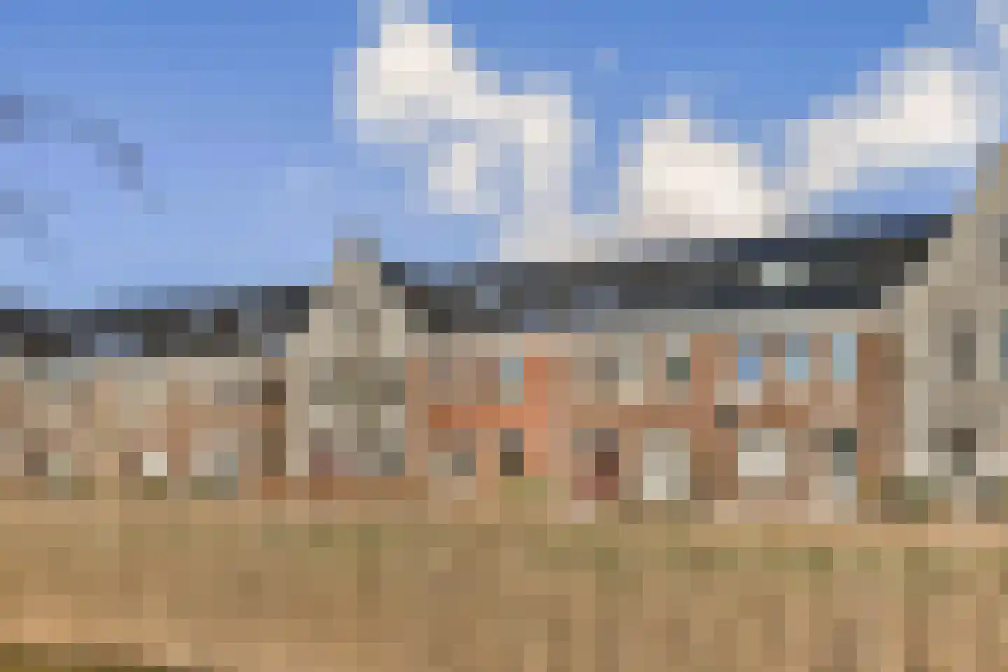 Buizerd 34 Uithoorn thumbnail 26