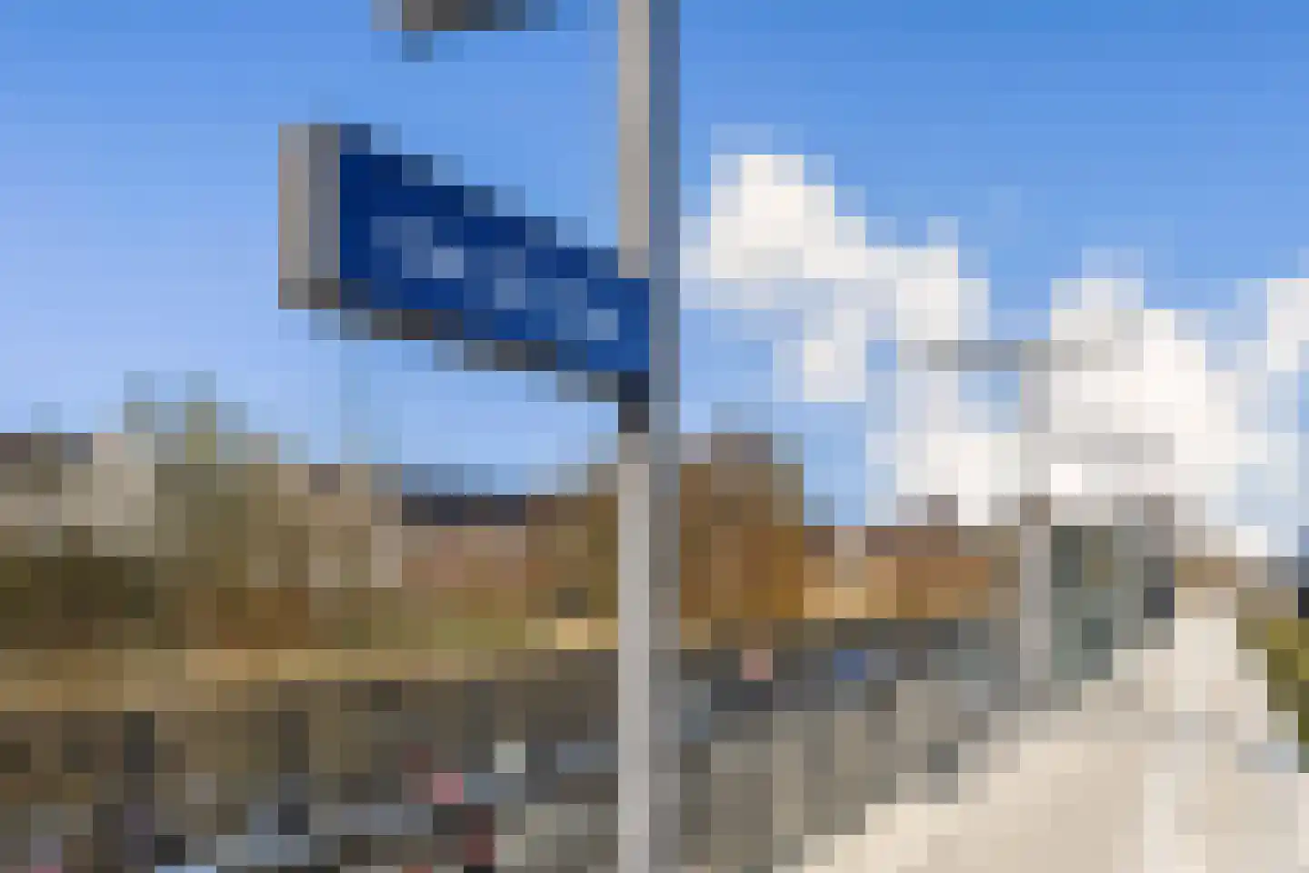 Buizerd 34 Uithoorn thumbnail 29