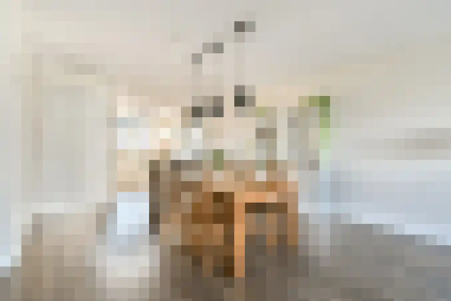 Buizerd 34 Uithoorn thumbnail 7