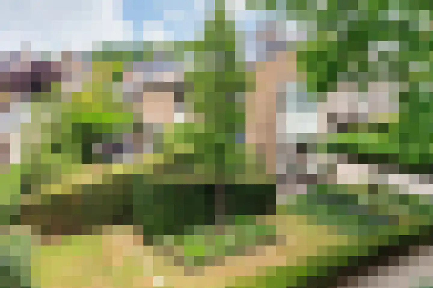 Buizerd 41 Sint-Oedenrode thumbnail 4