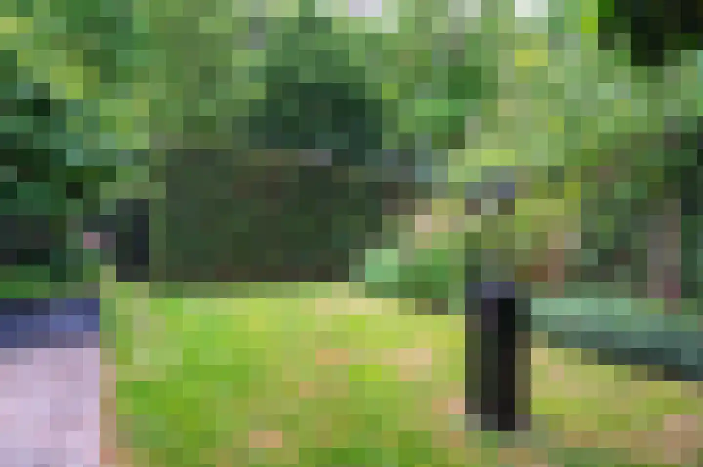 Buizerd 41 Sint-Oedenrode thumbnail 47