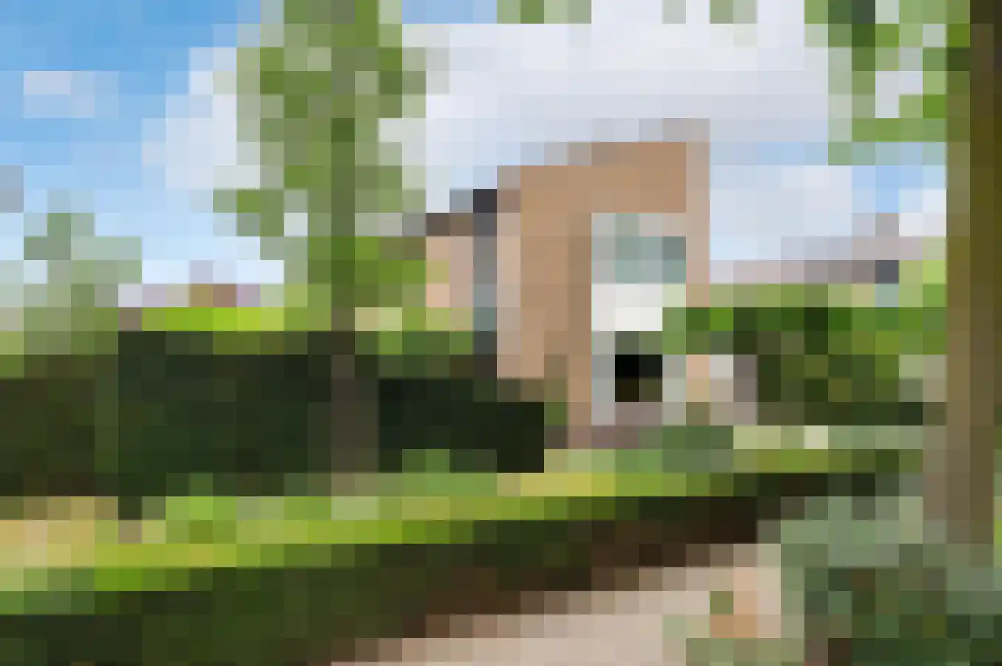 Buizerd 41 Sint-Oedenrode thumbnail 54