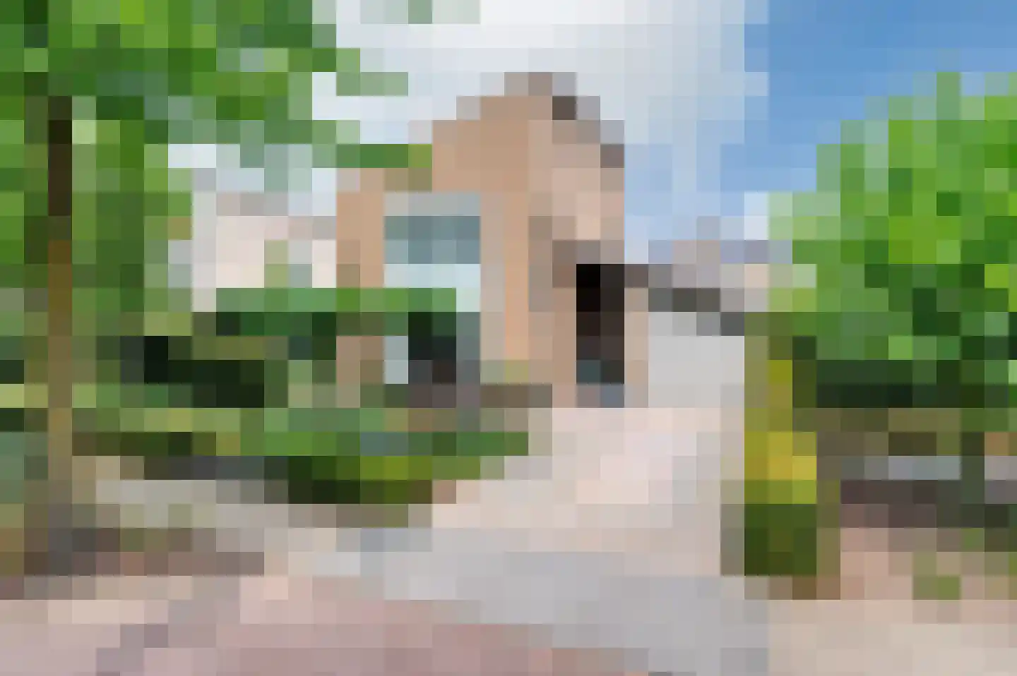 Buizerd 41 Sint-Oedenrode thumbnail 57