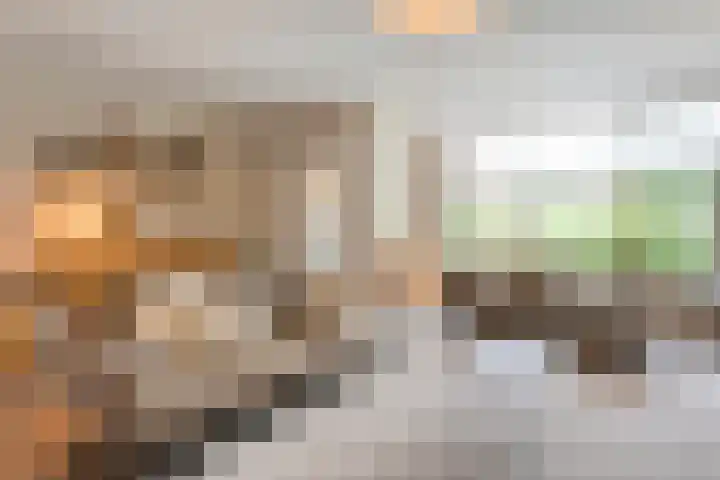 Buizerd 45 Ommen thumbnail 14