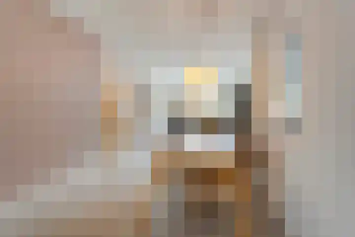 Buizerd 45 Ommen thumbnail 17
