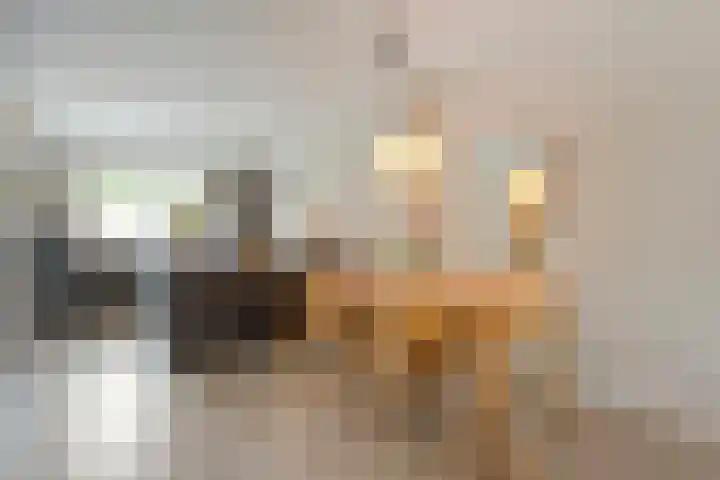Buizerd 45 Ommen thumbnail 18