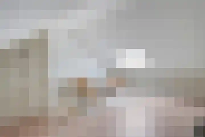 Buizerd 45 Ommen thumbnail 35