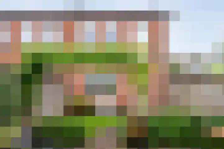 Buizerd 45 Ommen thumbnail 37