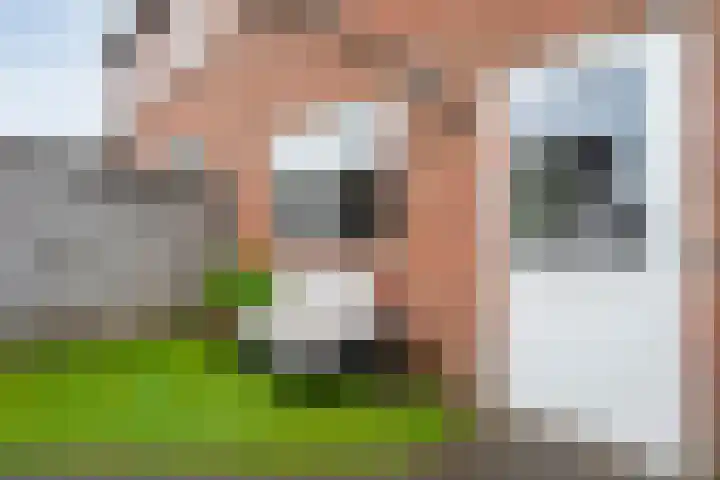 Buizerd 45 Ommen thumbnail 38