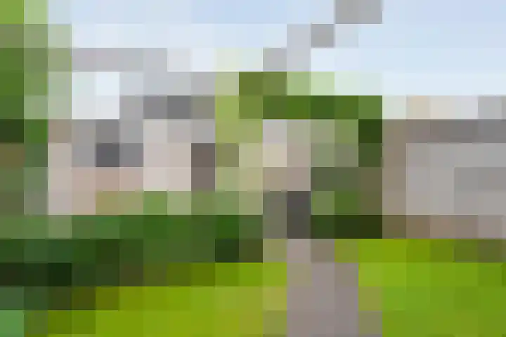 Buizerd 45 Ommen thumbnail 39