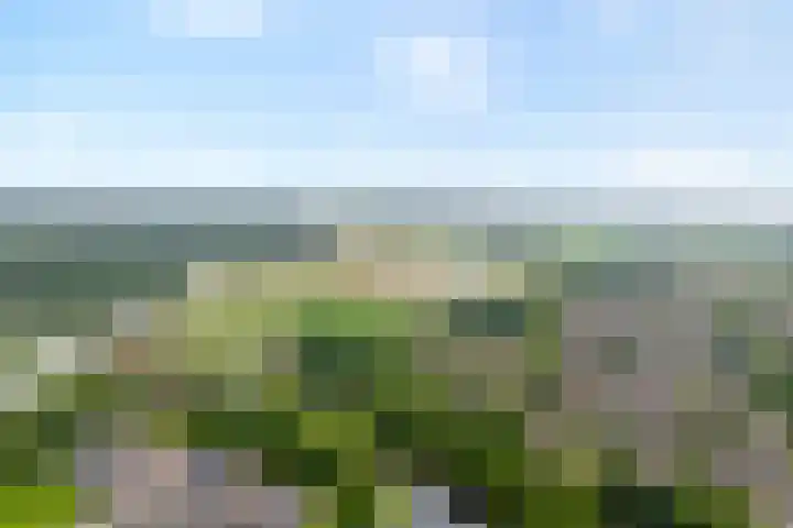 Buizerd 45 Ommen thumbnail 4