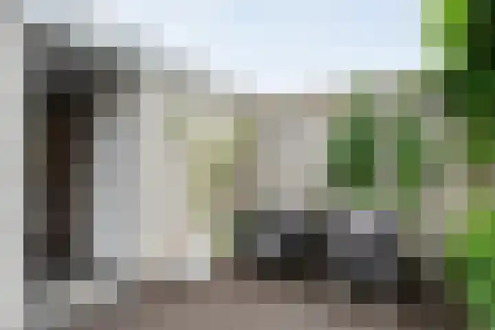 Buizerd 45 Ommen thumbnail 40