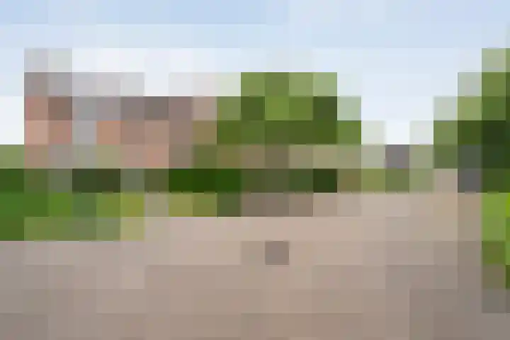 Buizerd 45 Ommen thumbnail 5