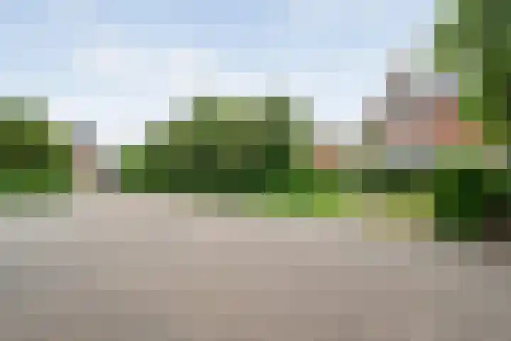 Buizerd 45 Ommen thumbnail 6