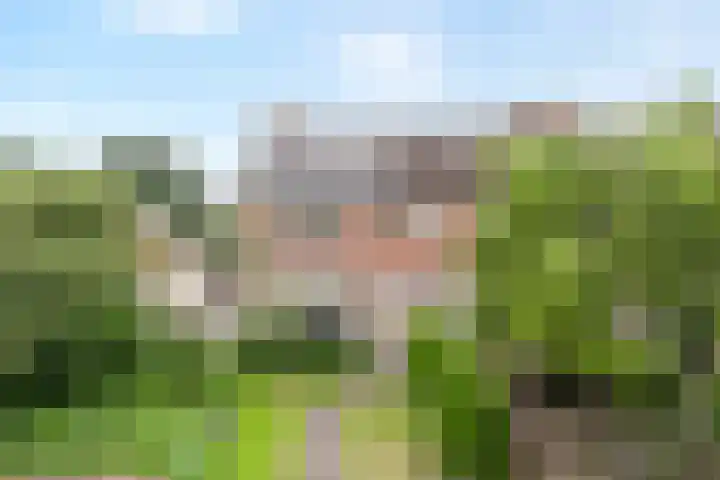 Buizerd 45 Ommen thumbnail 8