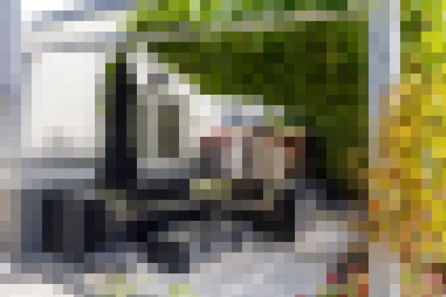Buizerd 47 Veldhoven thumbnail 41