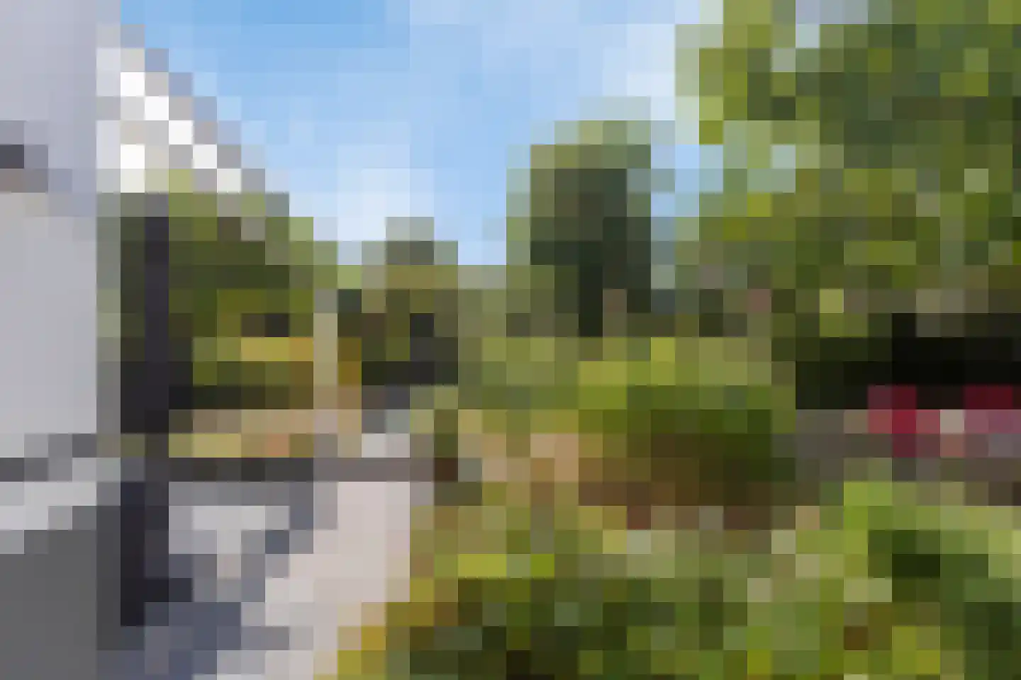 Buizerd 47 Veldhoven thumbnail 42