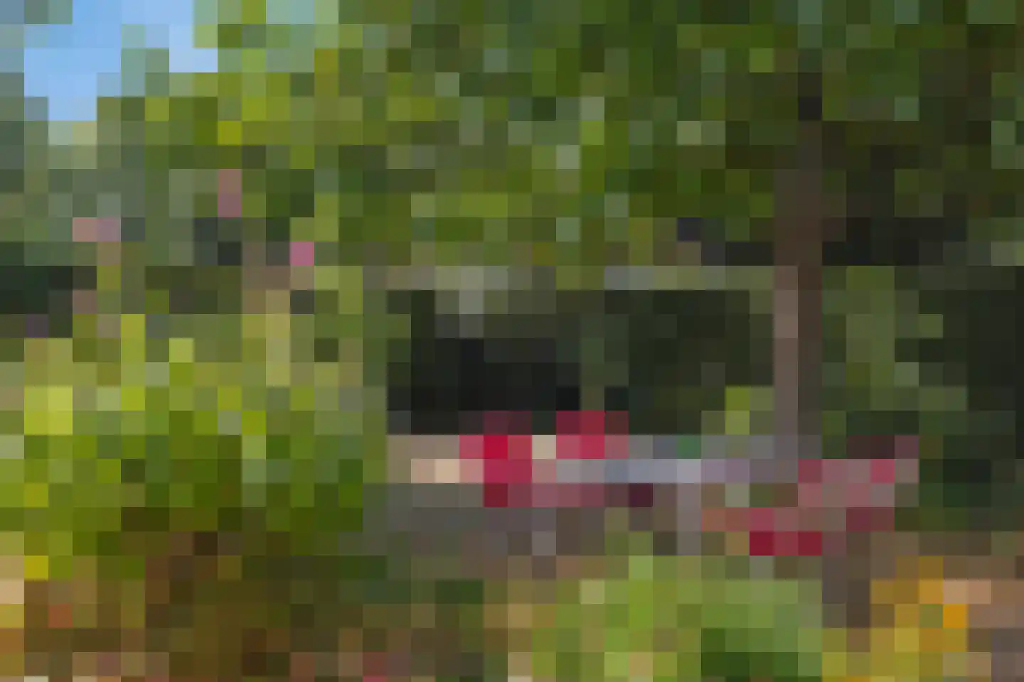 Buizerd 47 Veldhoven thumbnail 44