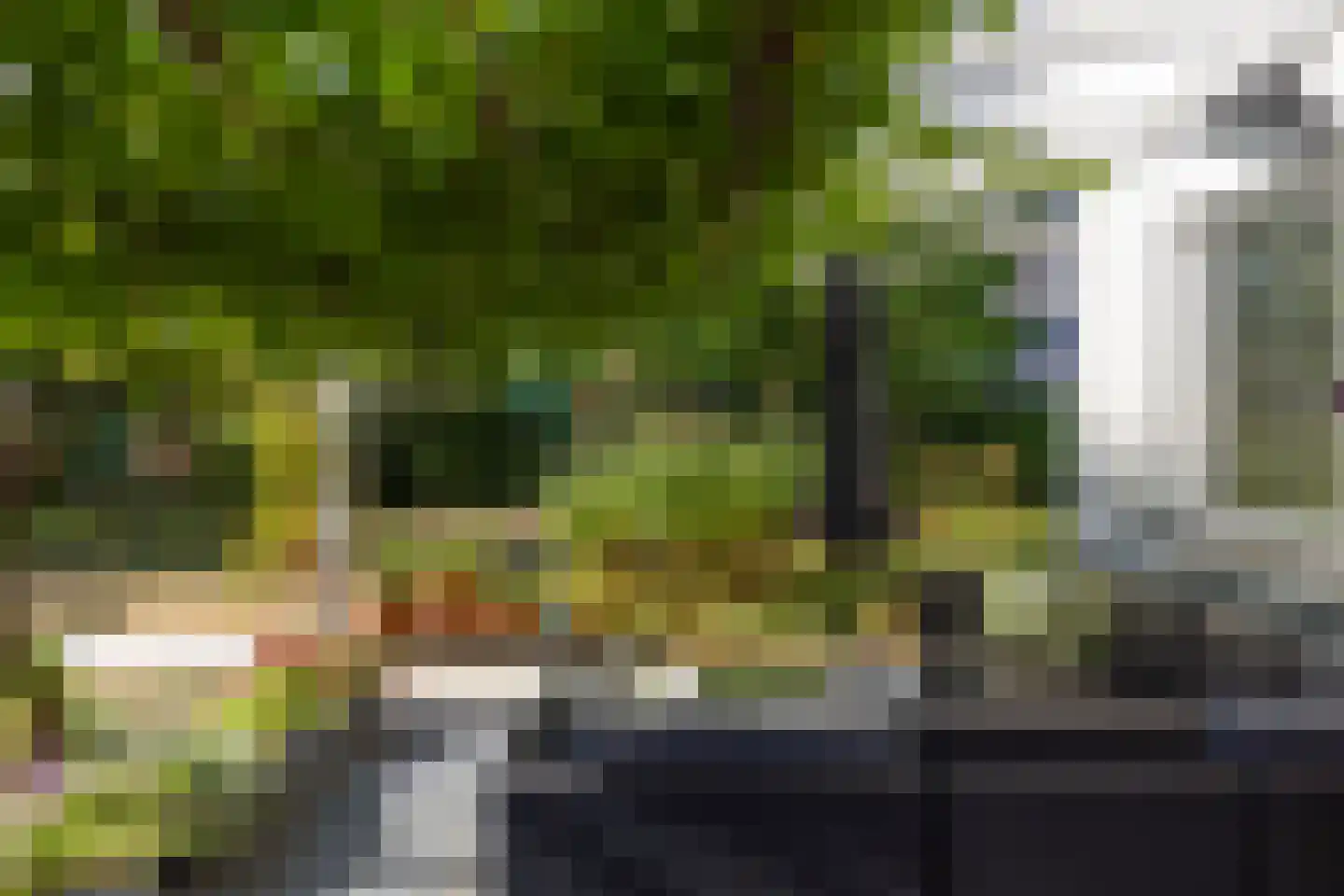 Buizerd 47 Veldhoven thumbnail 46