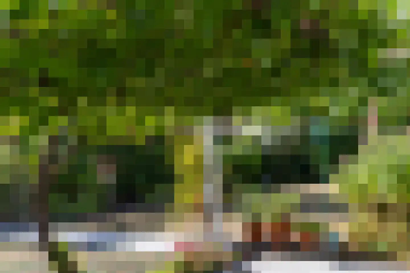 Buizerd 47 Veldhoven thumbnail 47