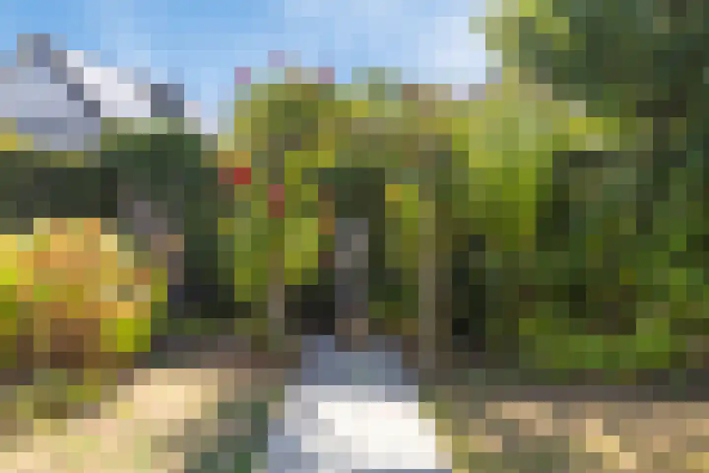Buizerd 47 Veldhoven thumbnail 48