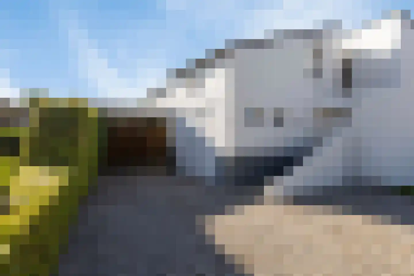 Buizerd 47 Veldhoven thumbnail 49