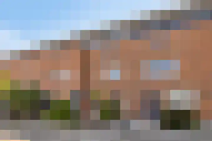 Buizerd 50 Bergen op Zoom thumbnail 28