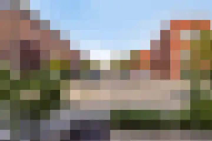 Buizerd 50 Bergen op Zoom thumbnail 30