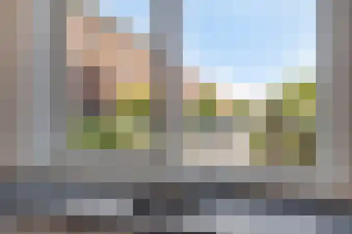 Buizerd 50 Bergen op Zoom thumbnail 7