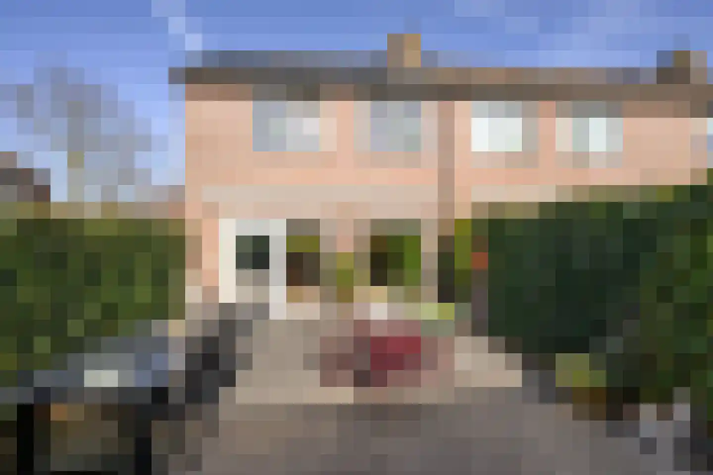 Buizerd 61 Blaricum thumbnail 23