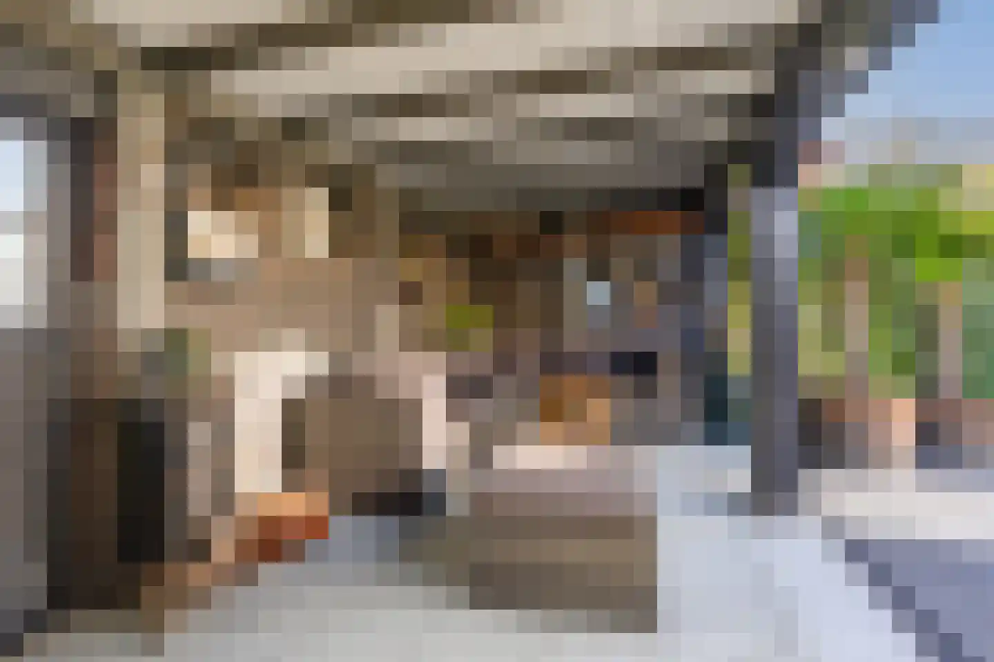 Buizerd 61 Blaricum thumbnail 25