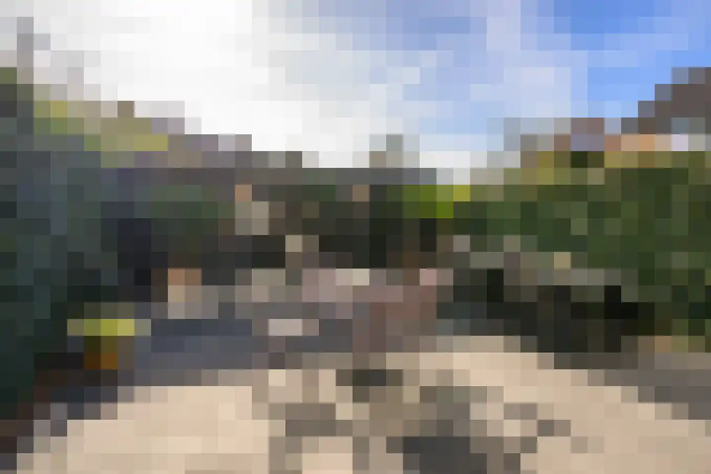 Buizerd 61 Blaricum thumbnail 27