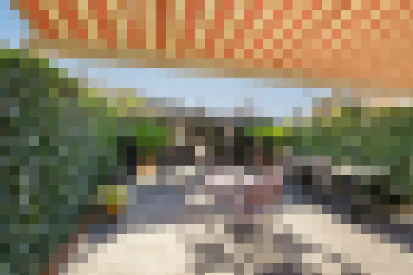 Buizerd 61 Blaricum thumbnail 31