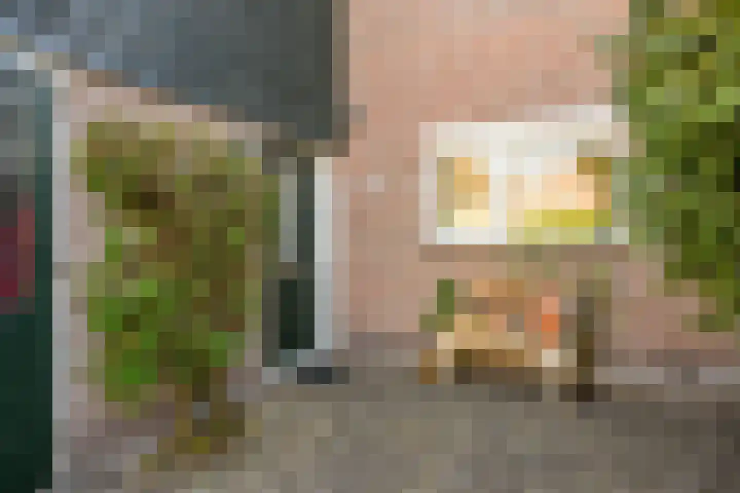 Buizerd 61 Blaricum thumbnail 33