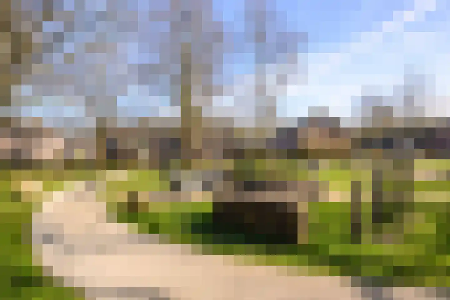 Buizerd 61 Blaricum thumbnail 34
