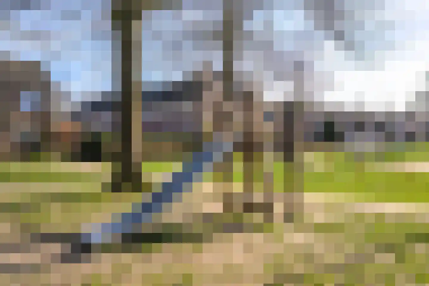 Buizerd 61 Blaricum thumbnail 35