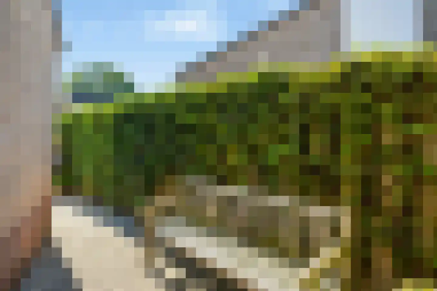 Buizerd 61 Veldhoven thumbnail 38
