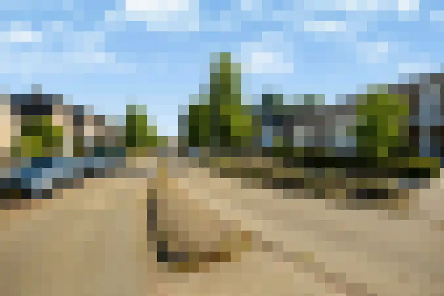 Buizerd 61 Veldhoven thumbnail 6