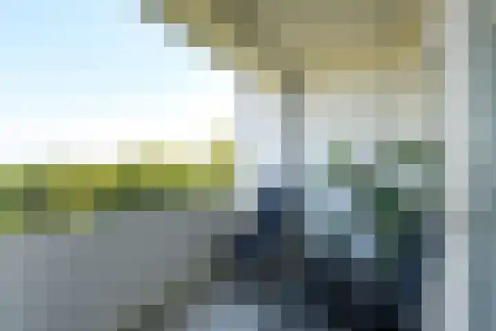 Buizerd 71 Heerenveen thumbnail 15