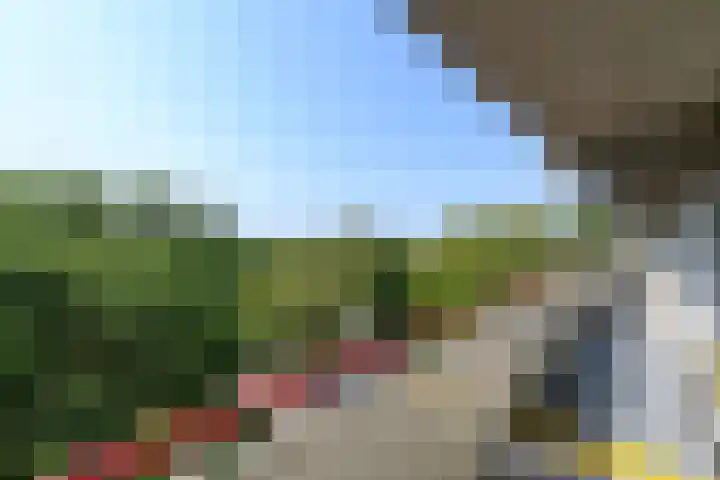 Buizerd 71 Heerenveen thumbnail 17