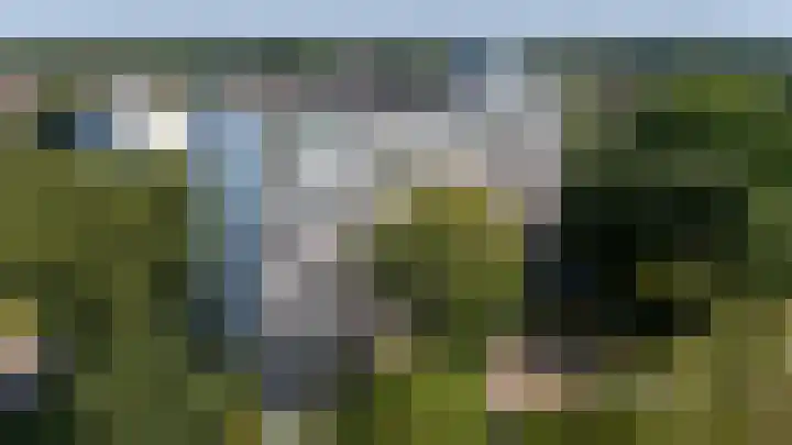 Buizerd 71 Heerenveen thumbnail 21
