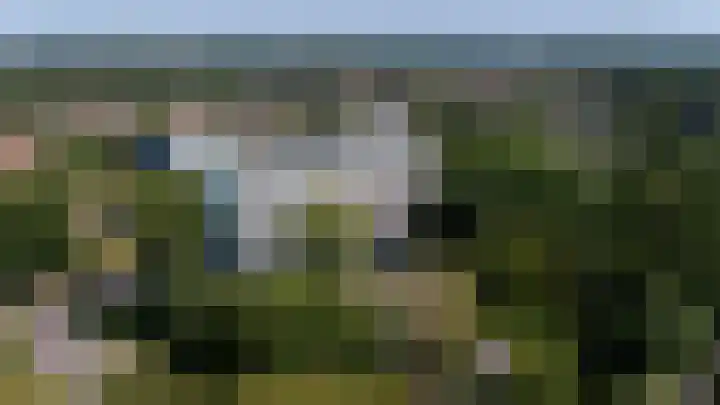 Buizerd 71 Heerenveen thumbnail 22